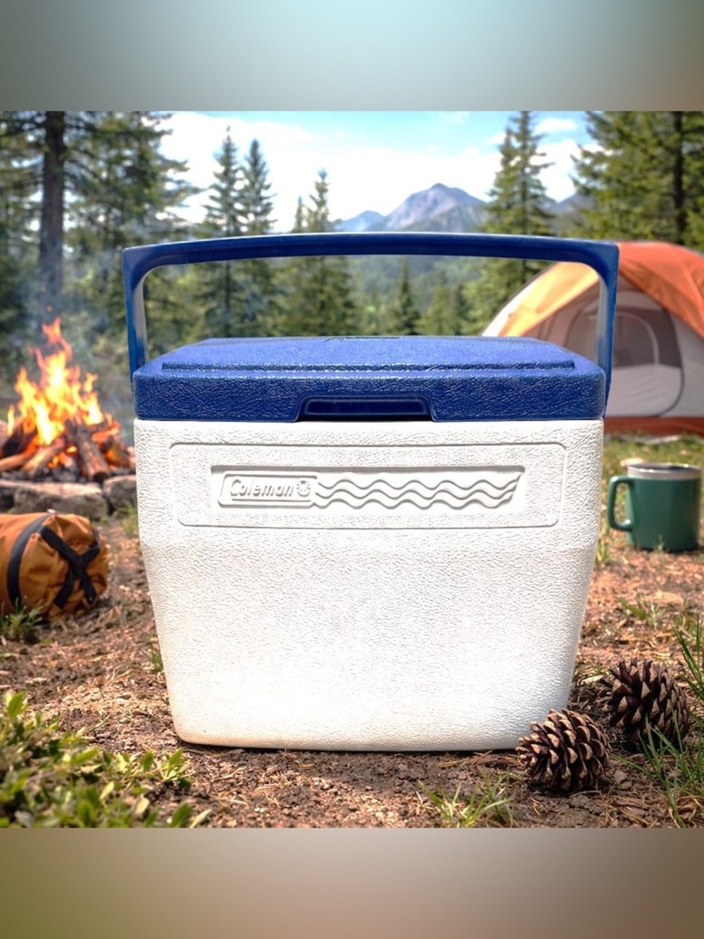 Vintage 1990 Coleman Blue and White Portable Cooler